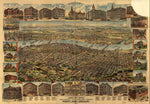 Portland Antique Wall Map