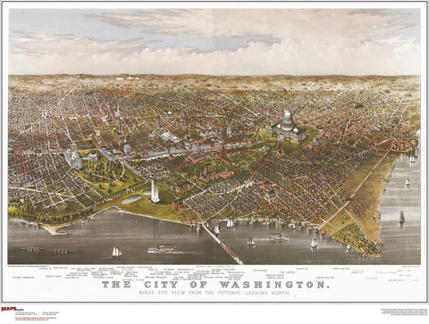 Washington DC Antique Wall Map